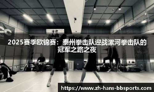2025赛季欧锦赛：泰州拳击队迎战漯河拳击队的冠军之路之夜